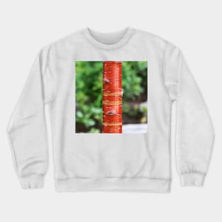 Tree trunk Crewneck Sweatshirt